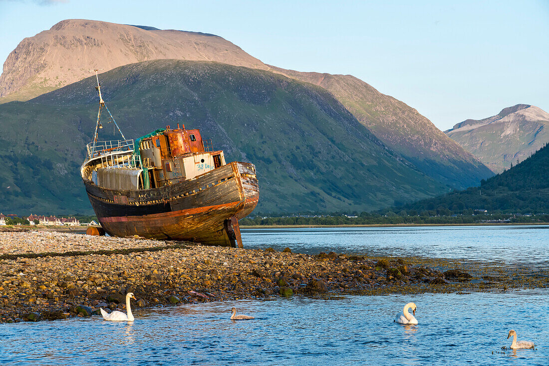 An abandoned shipwreck rests on the shoreline near Corpach and Caledonian Canal, Scotland; Corpach, Scotland