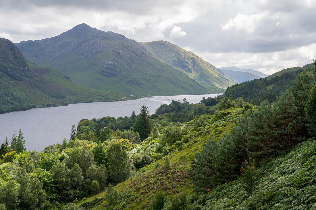 Lake Loch Shiel cuts through the landscape near Glenfinnan, Scotland; Glenfinnan, Scotland