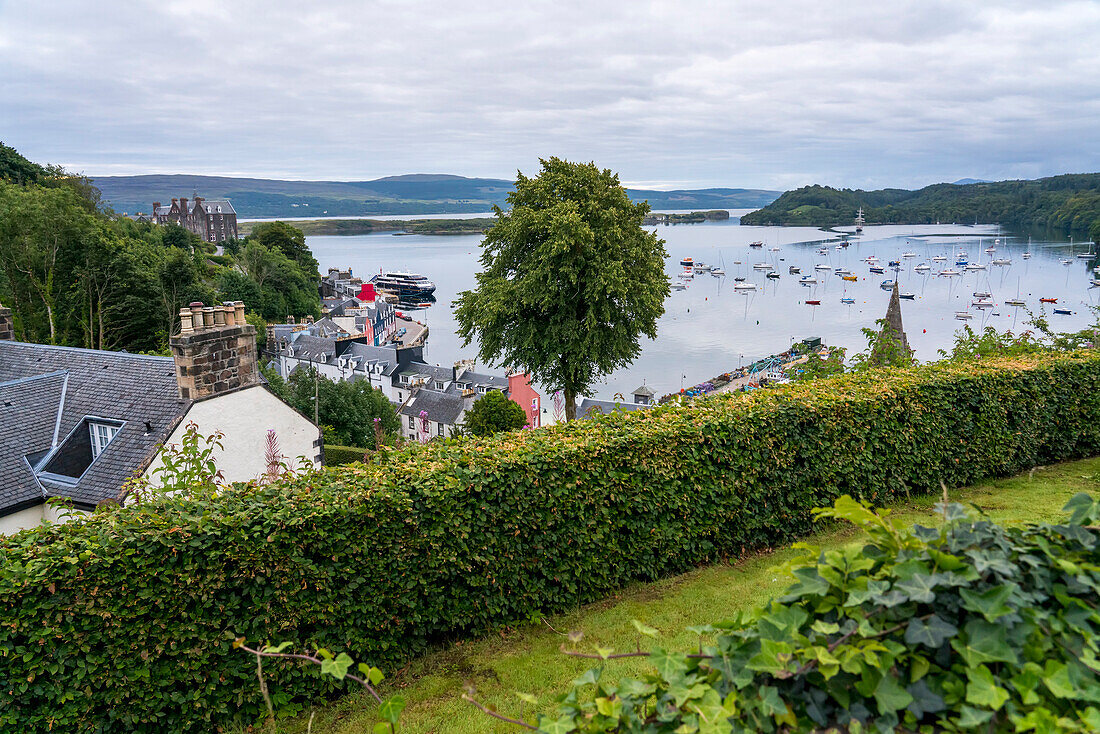A garden lines the upper terrace above the harbour in Tobermory, Scotland; Tobermory, Isle of Mull, Scotland