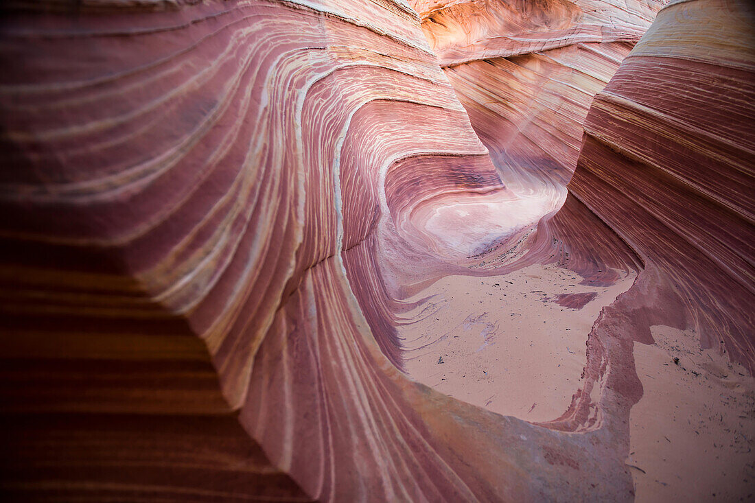 Die Sandsteinformation Wave in den Coyote Buttes North, Paria Canyon, Vermillion Cliffs Wilderness.