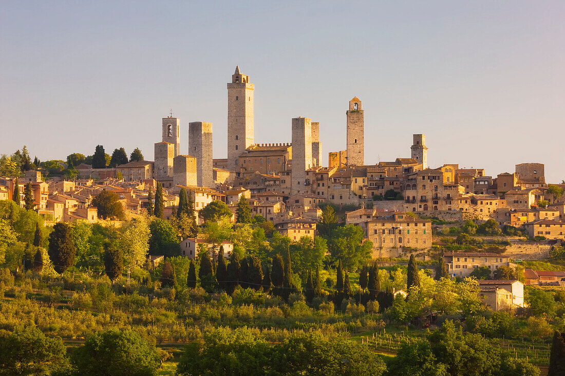 Mittelalterliche Stadt San Gimignano mit ihren vielen Türmen (Torri di San Gimignano), Torre Grossa ist der höchste, umgeben von der toskanischen Landschaft; San Gimignano, Toskana, Italien
