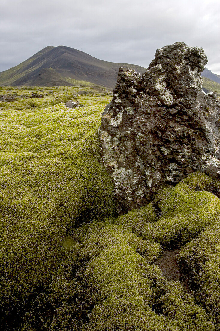 Moss covered volcanic basalt rock.