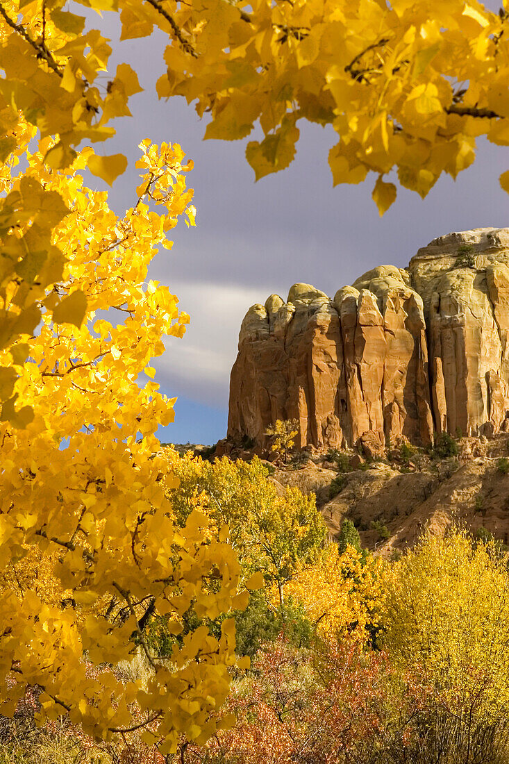 Die gelben Blätter des Herbstes umrahmen eine Felsformation.