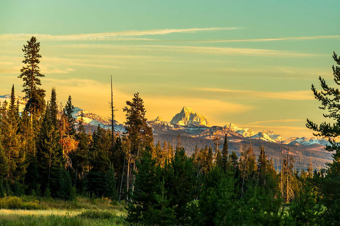 View from Bechler Meadow in Yellowstone National Park of the Grand Tetons in Grand Teton National Park with the warm sunlight reflecting on the snow capped mountains; Wyoming, United States of America