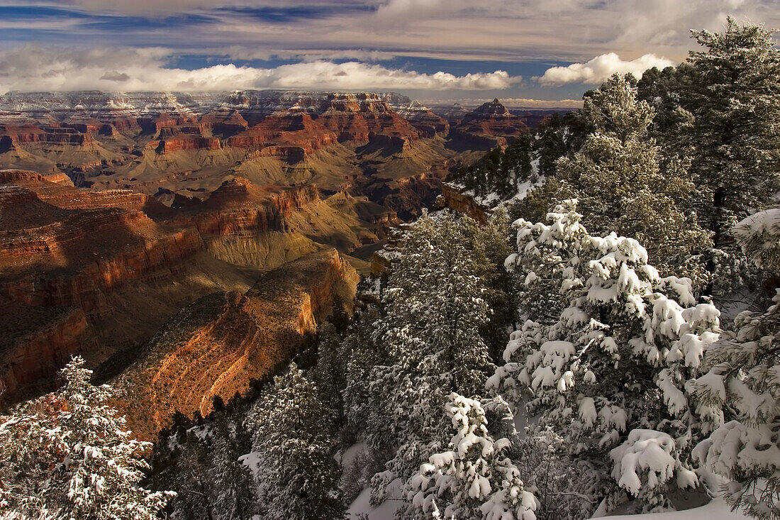 Frischer Schnee am South Rim, Grand Canyon National Park.
