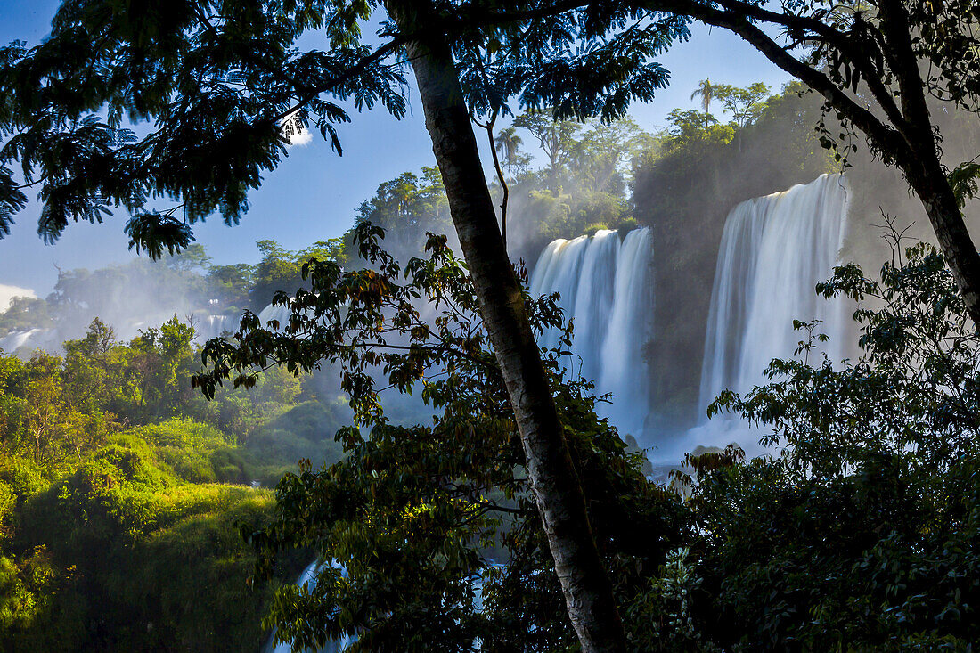 View of powerful Iguazu Falls through lush trees.