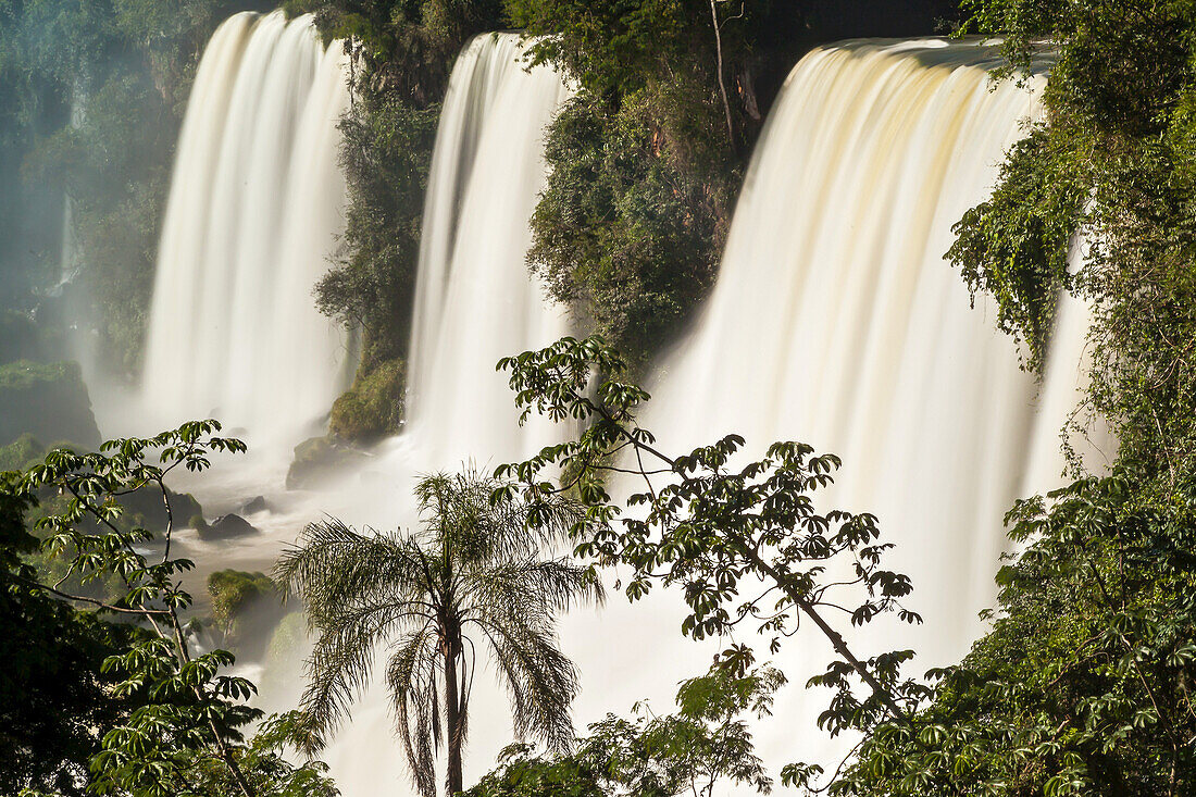 Overlook of the powerful cascades of water at Iguazu Falls.