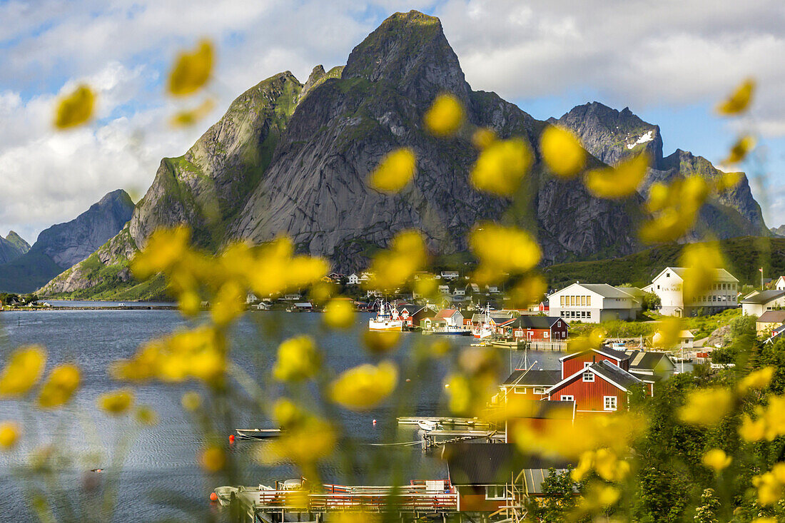 View of a coastal village through wildflowers.