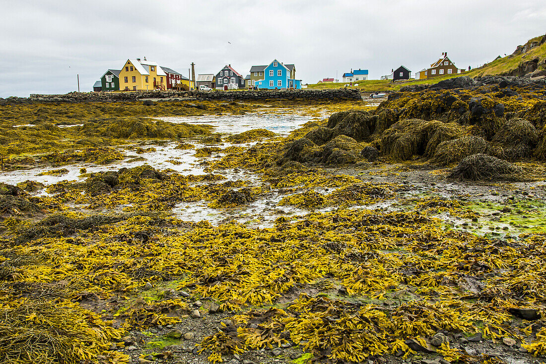 Low tide forms pools amid rockweed outside of a village.