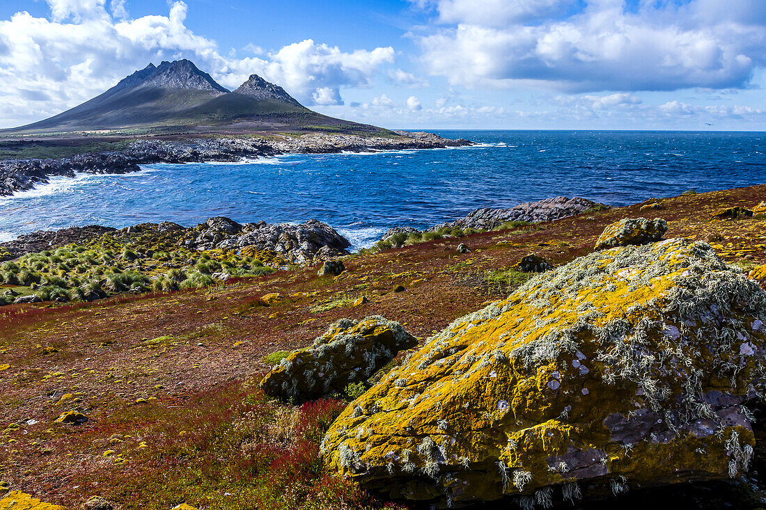 Eine felsige Küstenlinie auf Steeple Jason Island auf den Falklandinseln.