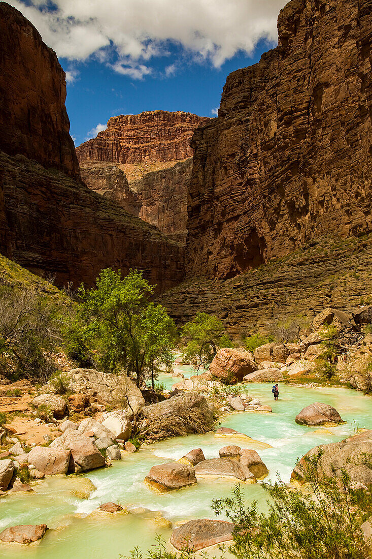 Hiker walking in the turquoise waters of Havasu Canyon.