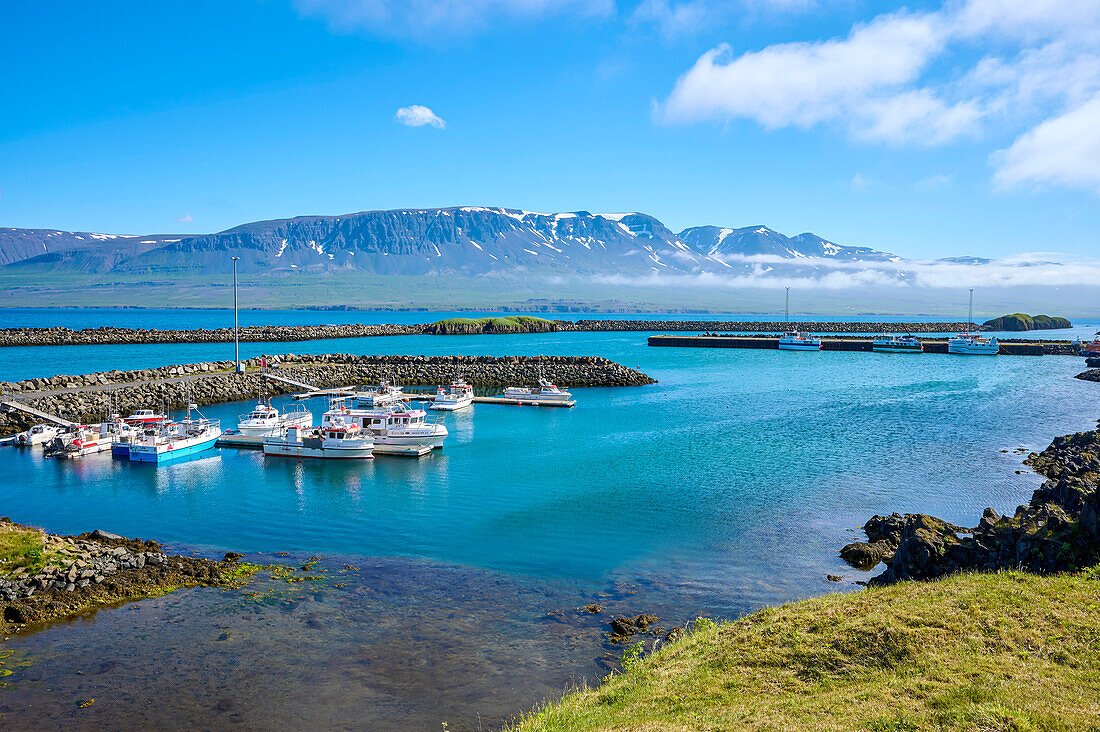 Harbor with fishing boats in summer in the village of Vopnafjördur in the Northern Region; Vopnafjördur, Austurland, Iceland