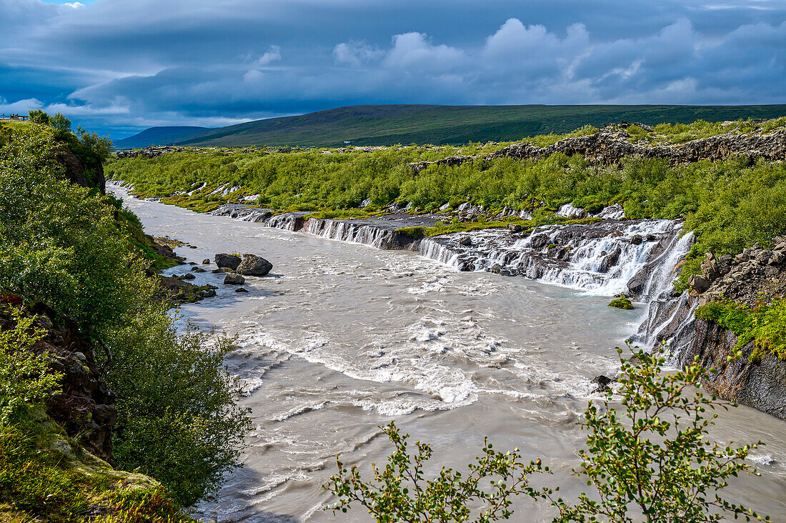 Hraunfossar Waterfall with Hvita River in summer; Borgarnes, Vesturland, Iceland