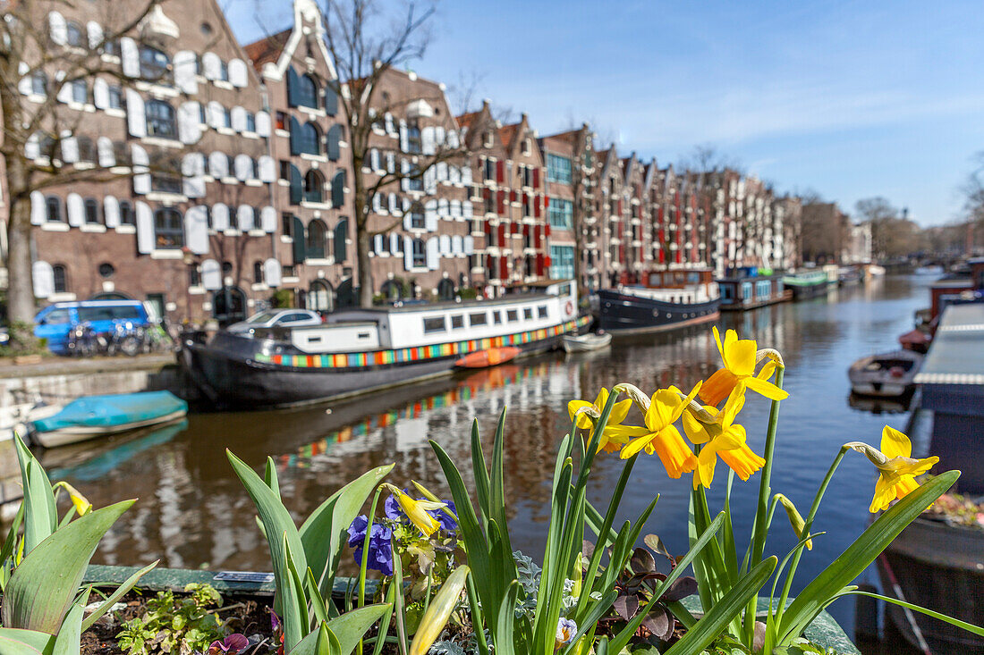 Canal scene, Brouwersgracht in Amsterdam; Amsterdam, North Holland, Netherlands