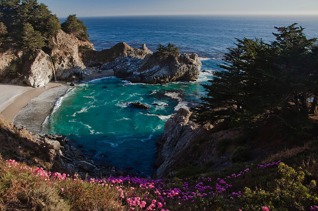 Der McWay-Wasserfall und rosa Blumen überblicken eine Bucht bei Big Sur.