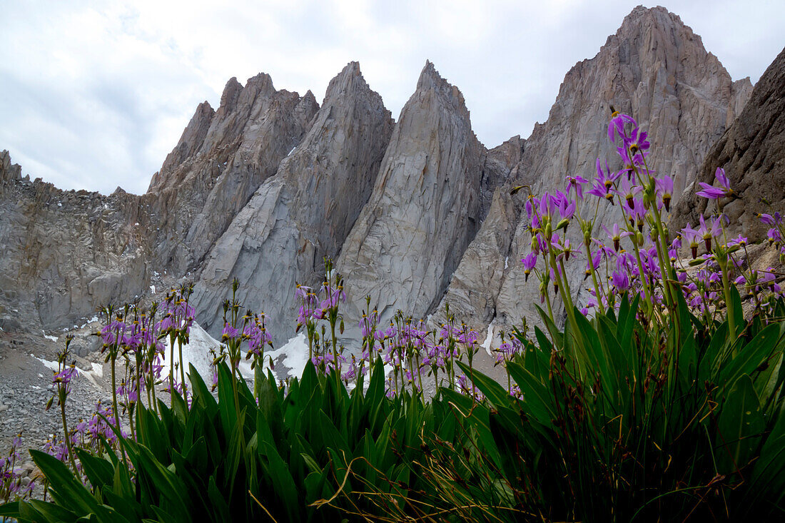 Mount Whitney, der höchste Berg in den unteren 48 Staaten.