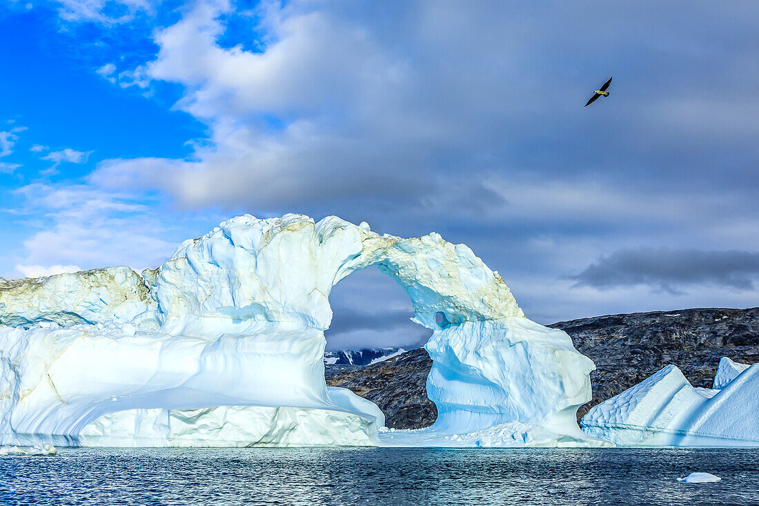 A bird flies over an ice arch in Semerlik Fjord.