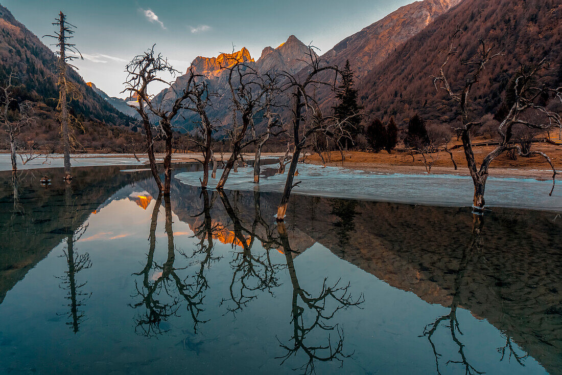 Sonnenuntergang mit Bäumen, die sich in einem hoch gelegenen See auf dem tibetischen Plateau spiegeln; Rilong, Provinz Sichuan, China