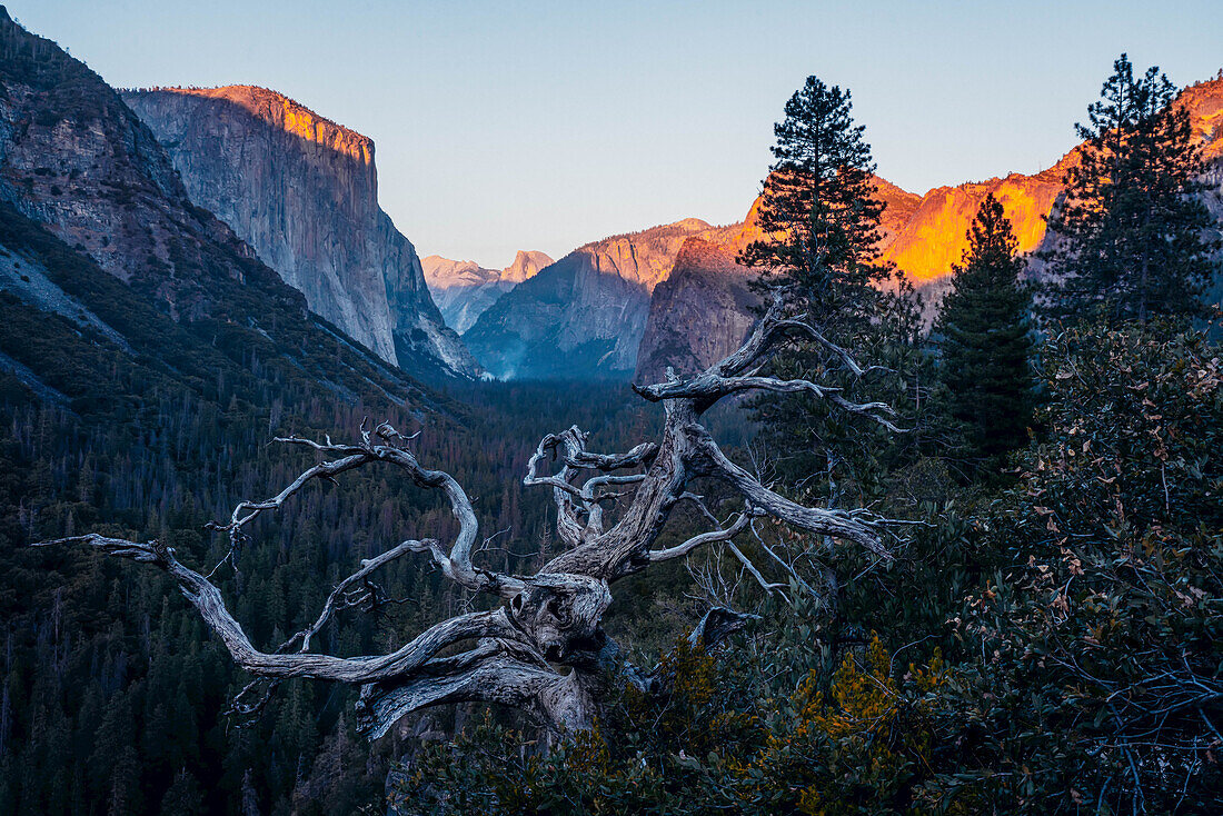 Blick auf El Capitan und Half Dome bei Sonnenuntergang im Yosemite National Park; Kalifornien, Vereinigte Staaten von Amerika