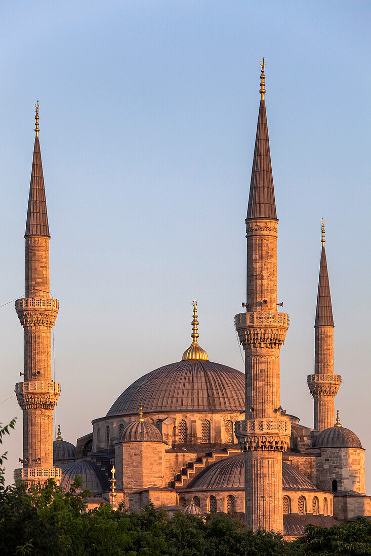 The Blue Mosque in evening sunlight, Istanbul, Turkey.; Istanbul, Turkey.