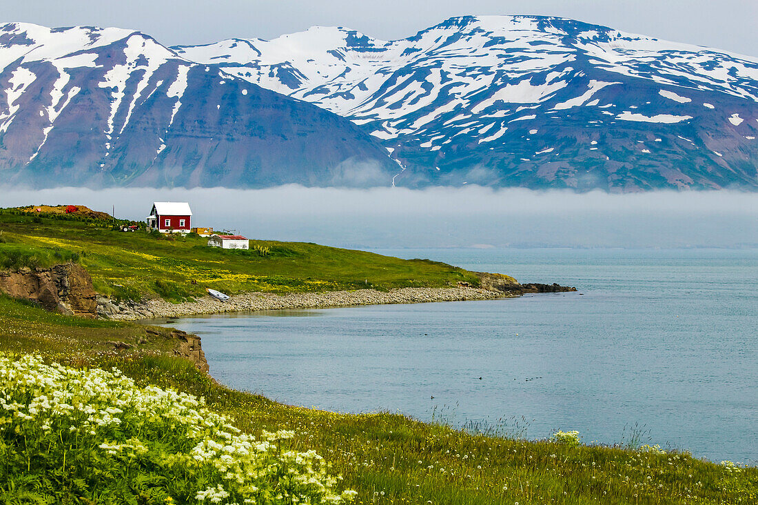 Ein einsames Haus an der Küste, im Hintergrund schneebedeckte Berge; Hrisey Island, nahe Dalvik, Eyjafjordur, Island.