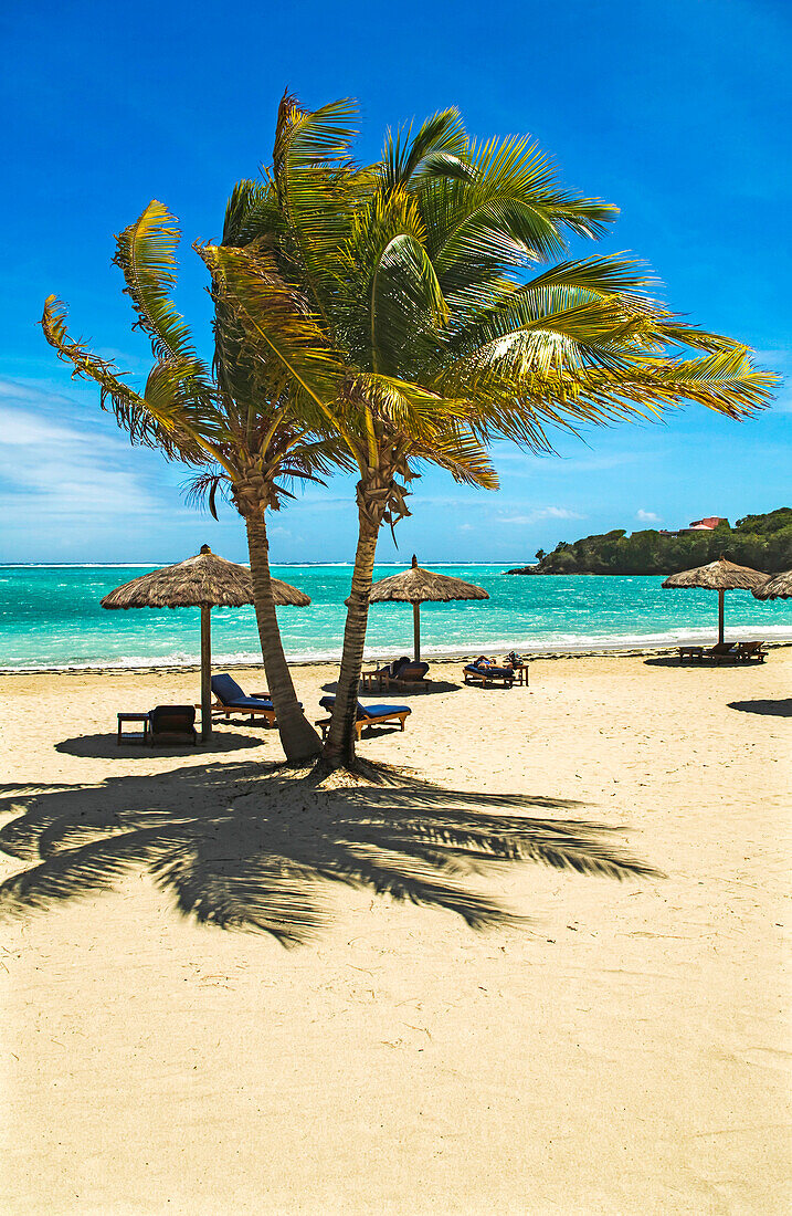 Eine tropische Strandszene in der Karibik; Canouan Island, die Grenadinen, St. Vincent und die Grenadinen, in der Karibik.