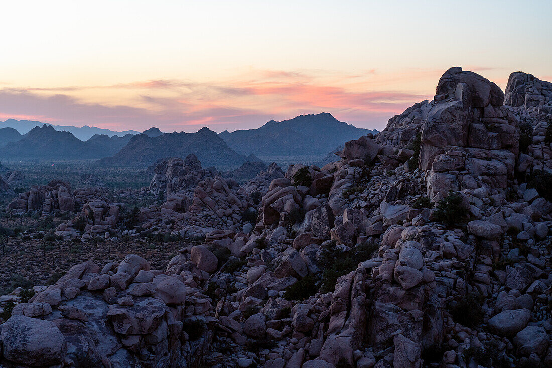 Sunset over the famous granite domes and rock formations of Joshua Tree National Park; Joshua Tree National Park, California, United States of America