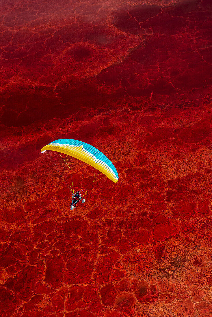 A paramotor pilot flies over Owens Lake, a mostly dry lake bed, in the Sierra Nevada near Lone Pine with salt loving halobacteria turning the shallow water a vibrant shade of red; Lone Pine, Inyo County, California, United States of America