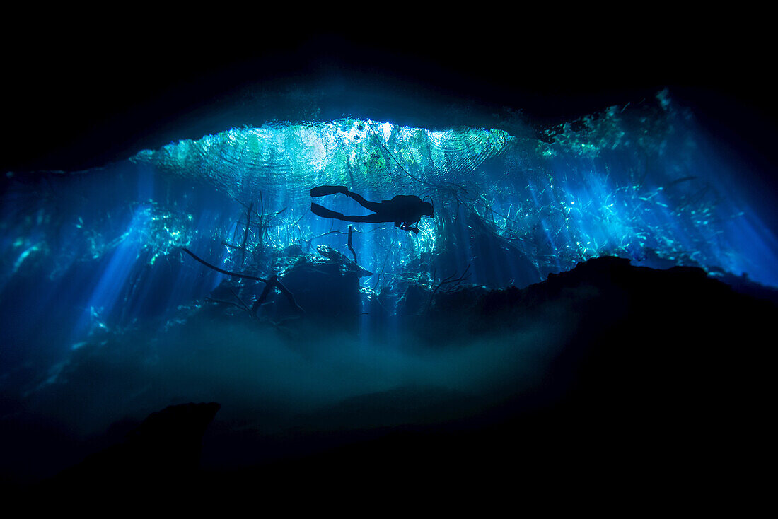 Silhouette of a cavern diver exploring a cenote, or sinkhole; Tulum, Quintana Roo, Mexico