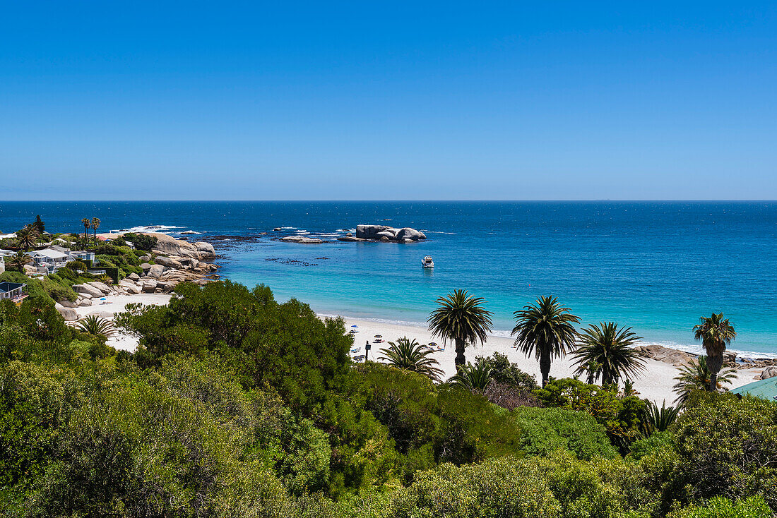 Überblick über die tropische Vegetation und die felsige Küste mit Strandhäusern am Atlantischen Ozean am Clifton Beach; Kapstadt, Westkap, Südafrika
