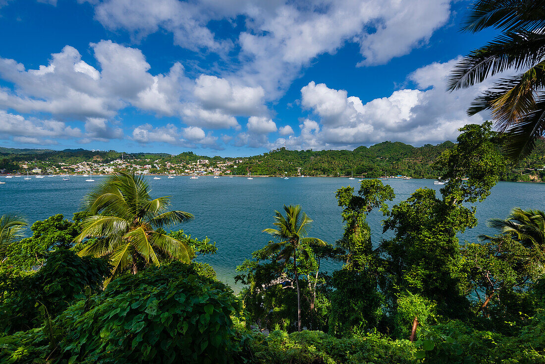 Blick durch die Baumkronen der Stadt Samana mit Blick auf die Bucht von Samana und die im Hafen vertäuten Boote an einem sonnigen Tag; Samana Peninsula, Dominikanische Republik, Karibik