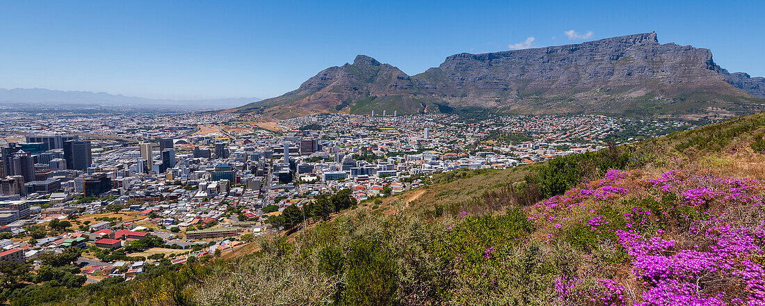 Überblick über die Skyline von Kapstadt und den Tafelberg vom Signal Hill aus; Kapstadt, Westliche Kap-Provinz, Südafrika