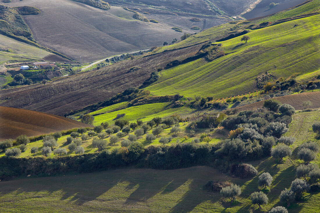A hilly farmland landscape around Aidone, Sicily, Italy.; Aidone, Sicily, Italy.