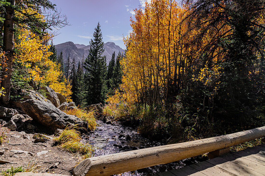 Water and autumn colours in Rocky Mountain National Park, Colorado, USA; Colorado, United States of America