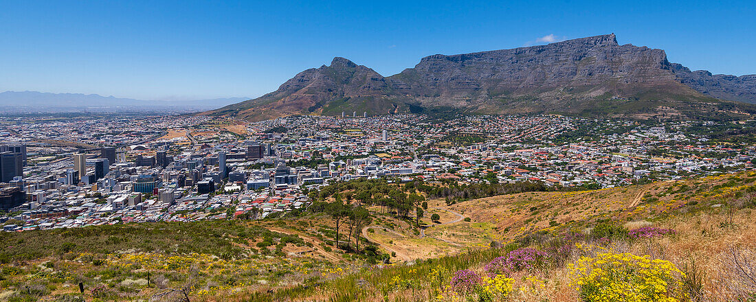 Overview of Cape Town city skyline and Table Mountain from Signal Hill; Cape Town, Western Cape Province, South Africa