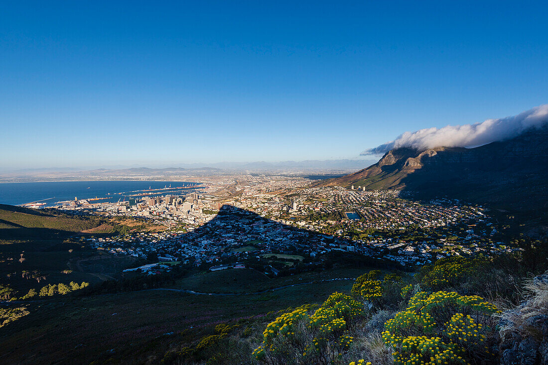 Wolkenformation, die den Tischtuch-Effekt über dem Tafelberg erzeugt, mit einem Überblick über die Skyline von Kapstadt vom Signal Hill und dem Lion's Head Berggipfel, der einen Schatten über die Stadt wirft; Kapstadt, Westkap-Provinz, Südafrika