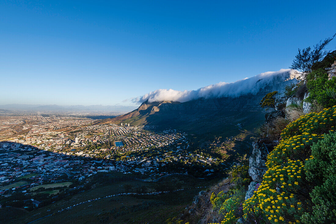 Cloud formation creating the tablecloth effect over Table Mountain with an overview of Cape Town city skyline from Signal Hill; Cape Town, Western Cape Province, South Africa