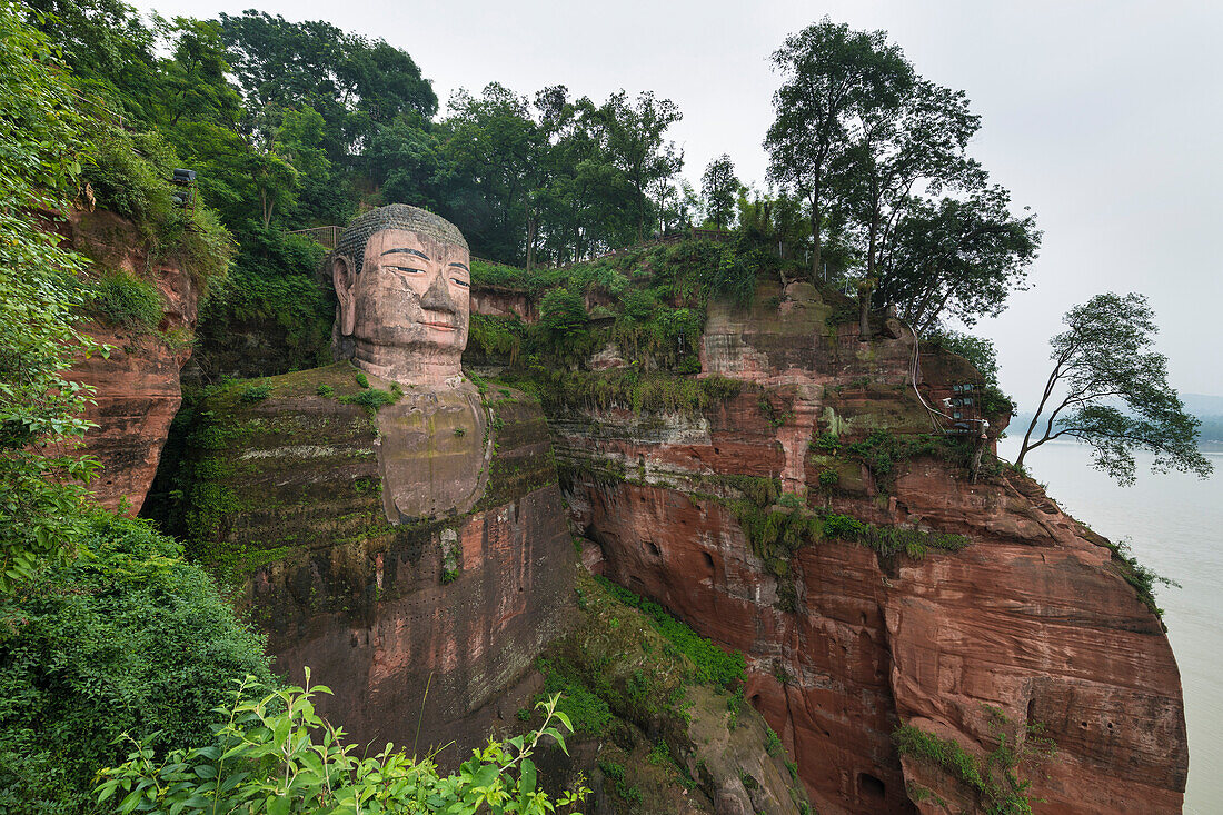 Der Riesenbuddha von Leshan, die größte und höchste steinerne Buddha-Statue der Welt, in die Felswand der roten Sandsteinklippen über dem Zusammenfluss von Min und Dadu gehauen; Provinz Sichuan, China