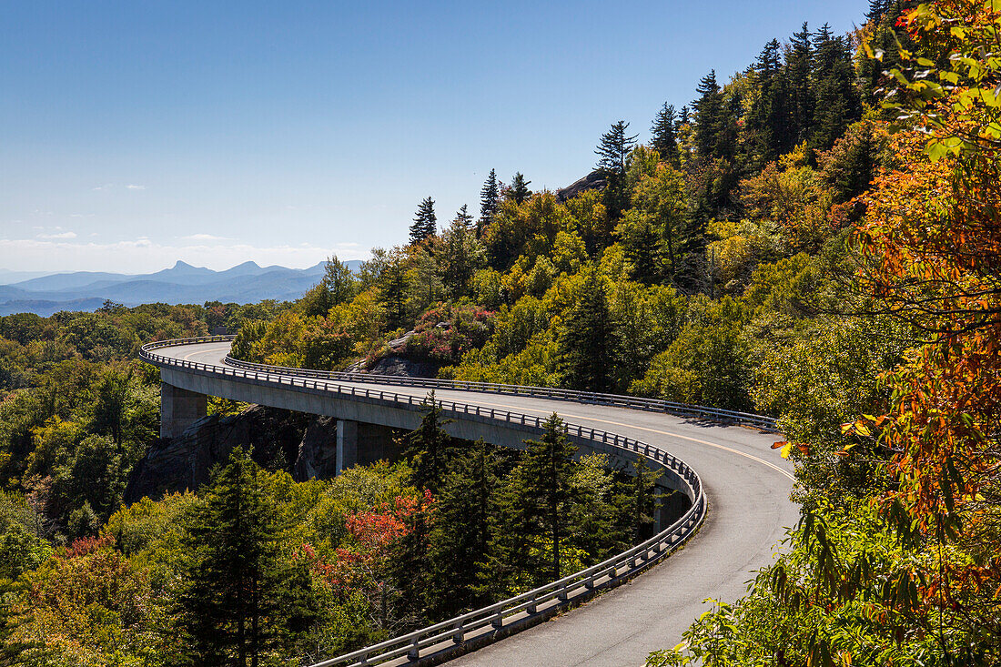 Linn Cove Viaduct kurvt durch bunte Herbstbäume entlang des Blue Ridge Parkway; North Carolina, Vereinigte Staaten von Amerika