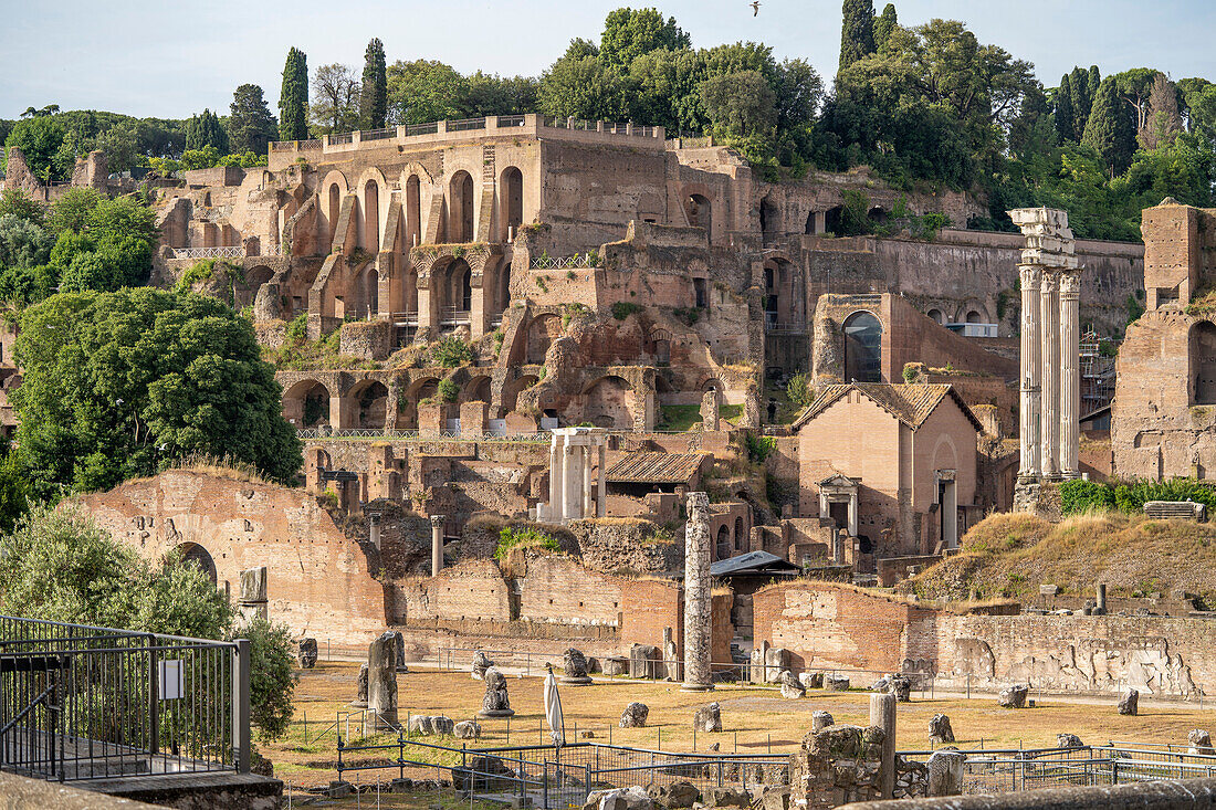 Foro Romano Ruinen (Forum Romanum) des antiken Rom mit dem Tempel von Castor und Pollux, Tempel der Dioskuren; Rom, Italien