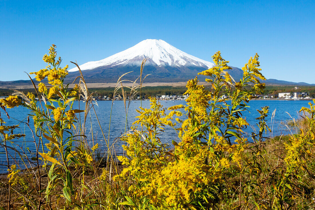 Der Berg Fuji, vom Yamanakako-See (Yamanaka-See) aus gesehen, ist der größte der fünf Fuji-Seen und der am dritthöchsten gelegene See Japans. Er ist auch der See, der dem Berg Fuji am nächsten liegt; Yamanakako, Präfektur Yamanashi, Japan