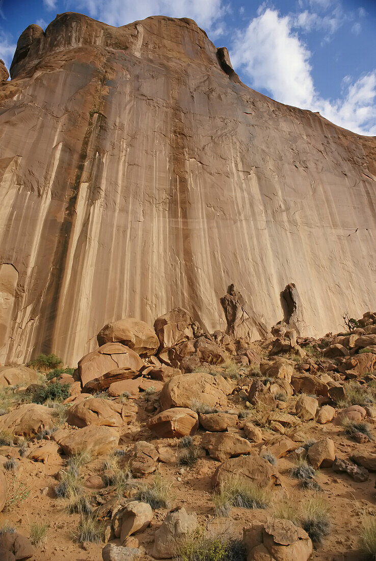 Sandsteinwand, Arches National Park, Utah; ARCHES NATIONAL PARK, UTAH.