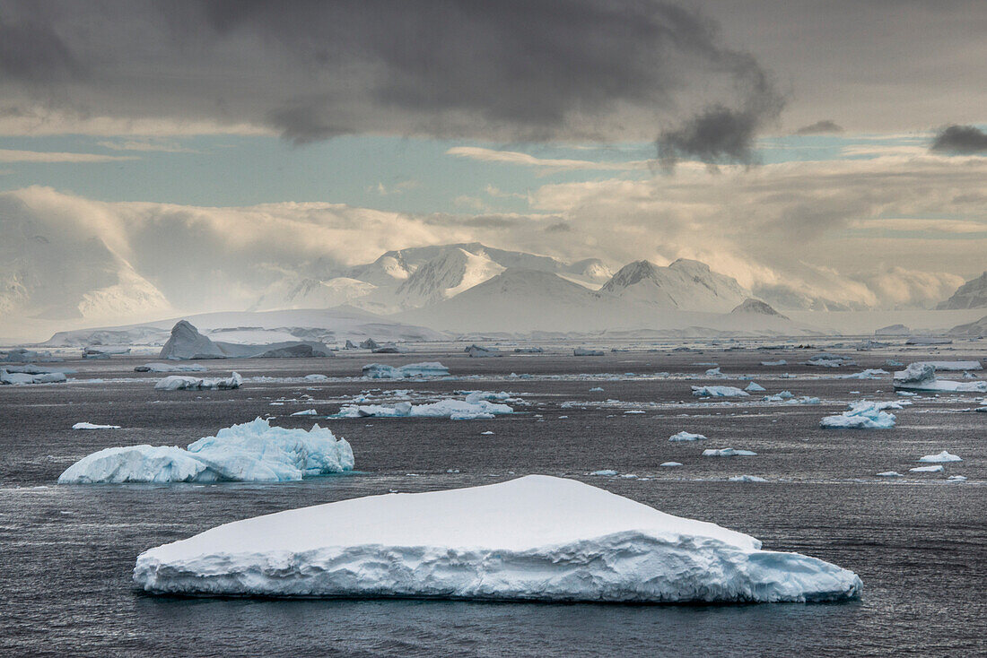 Eisberge im Lemaire-Kanal in der Antarktis; Antarktis