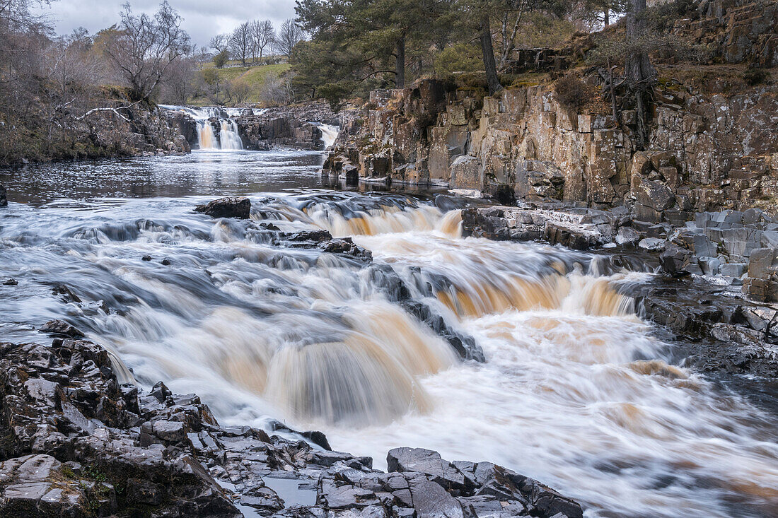 Ein schnell fließender Fluss Tees fällt über mehrere Wasserfälle in Nordengland; Low Force, Teesdale, England