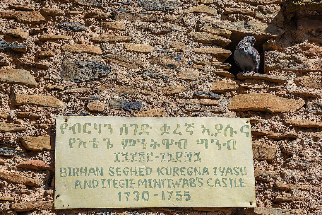 Plakette an der Festungsmauer mit der Angabe der Herrschaftszeit von Kaiser Birhan Seghed Kuregna (Birhan Seghed Kuregna Iyasu Anditegie Mintiwab's Castle) mit einem Vogel in einer Schießscharte in der Fasil Ghebbi Festung in Gondar, Amhara Region; Äthiopien