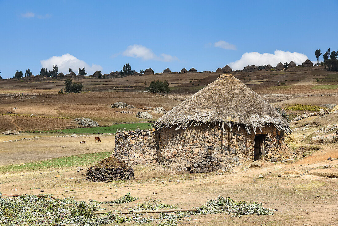 African round hut, traditional dwelling in the rural countryside; Ethiopia