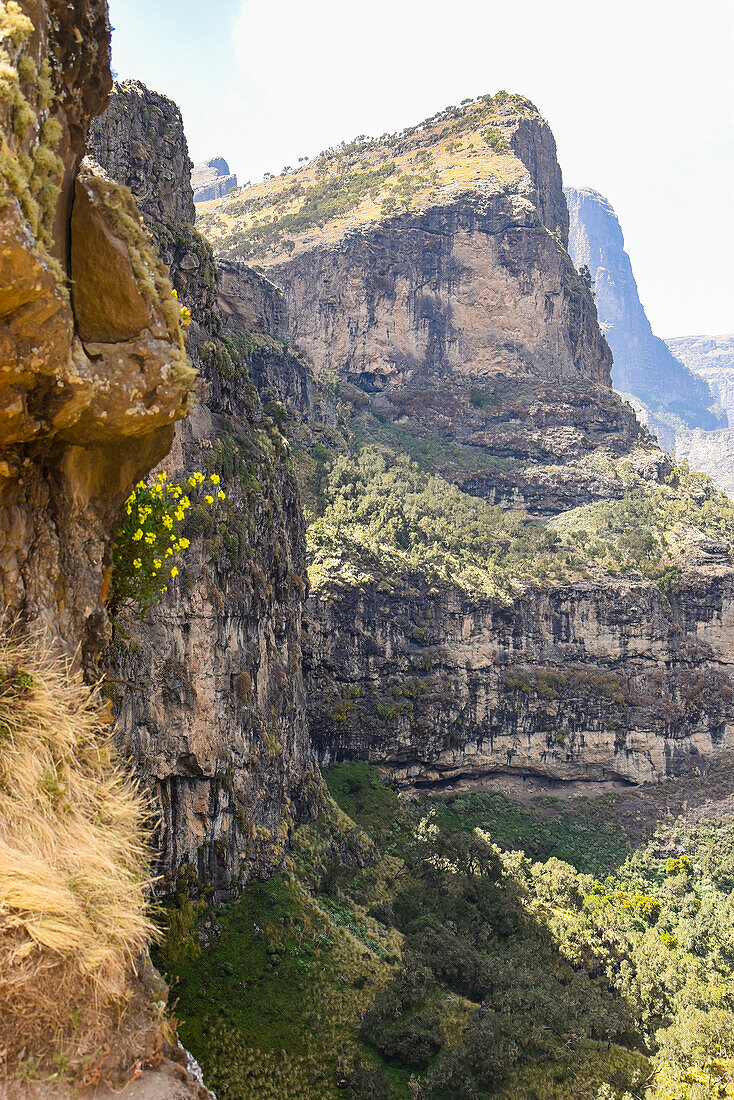 Berggipfel und felsige Klippen mit Bäumen und Pflanzen im Simien Mountains National Park in Nordäthiopien; Äthiopien