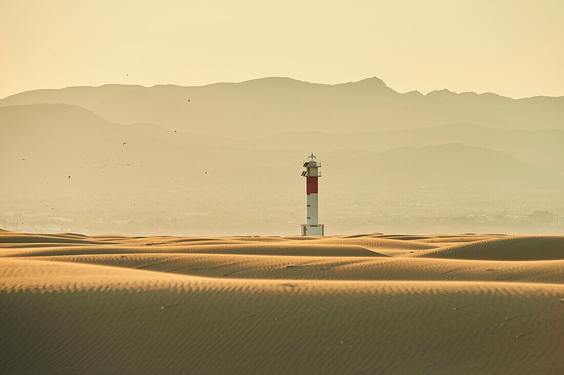 Lighthouse with red stripe on the rippled sand dunes in the evening light at sunset, Ebro River Delta; Catalonia, Spain