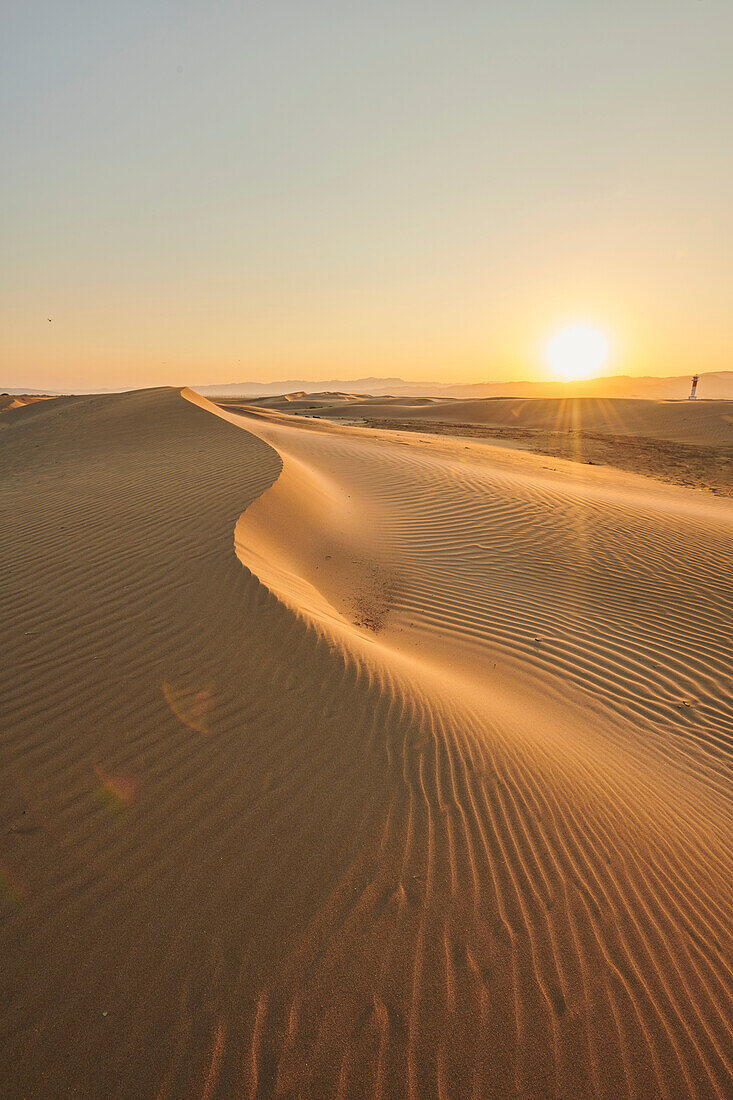 Rippled sand dunes in the evening light at sunset, with a lighthouse in the distance, Ebro River Delta; Catalonia, Spain