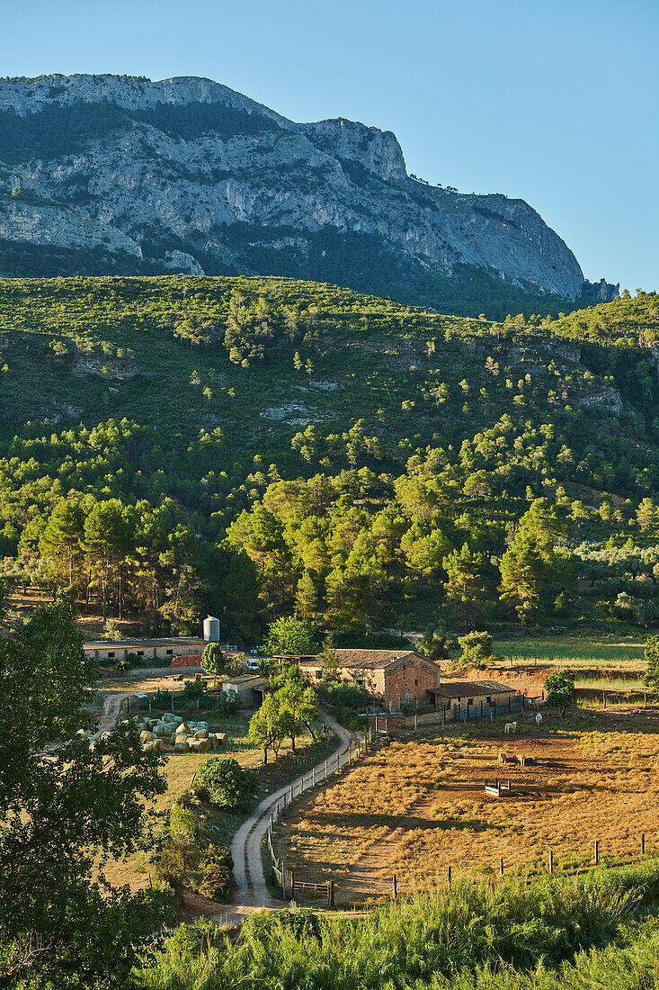 Farm and mountainside landscape in the morning light, Parc Natural dels Ports; Catalonia, Spain